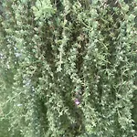 Maria House Con Giardino Privato