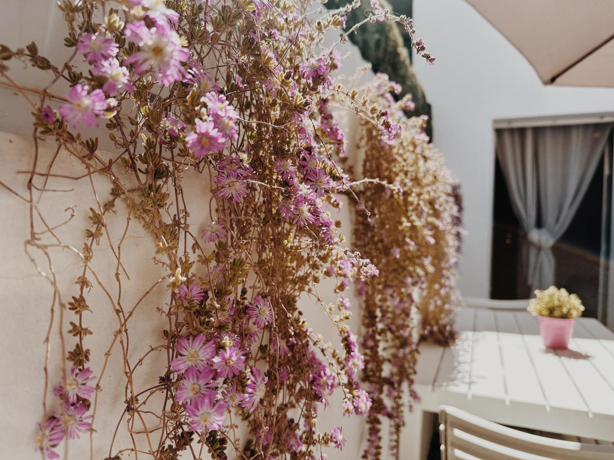 Maria House Con Giardino Privato