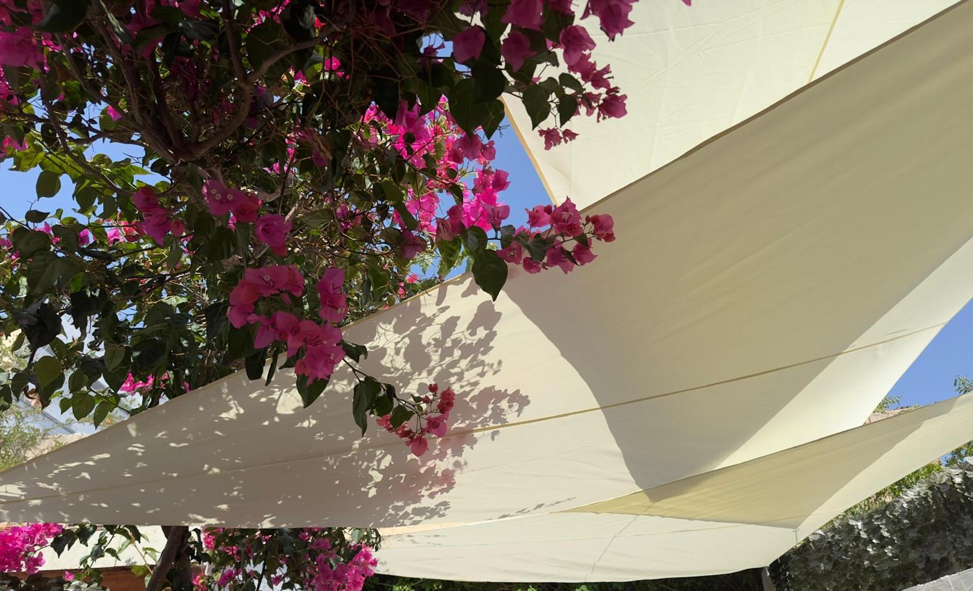 Maria House Con Giardino Privato Olbia