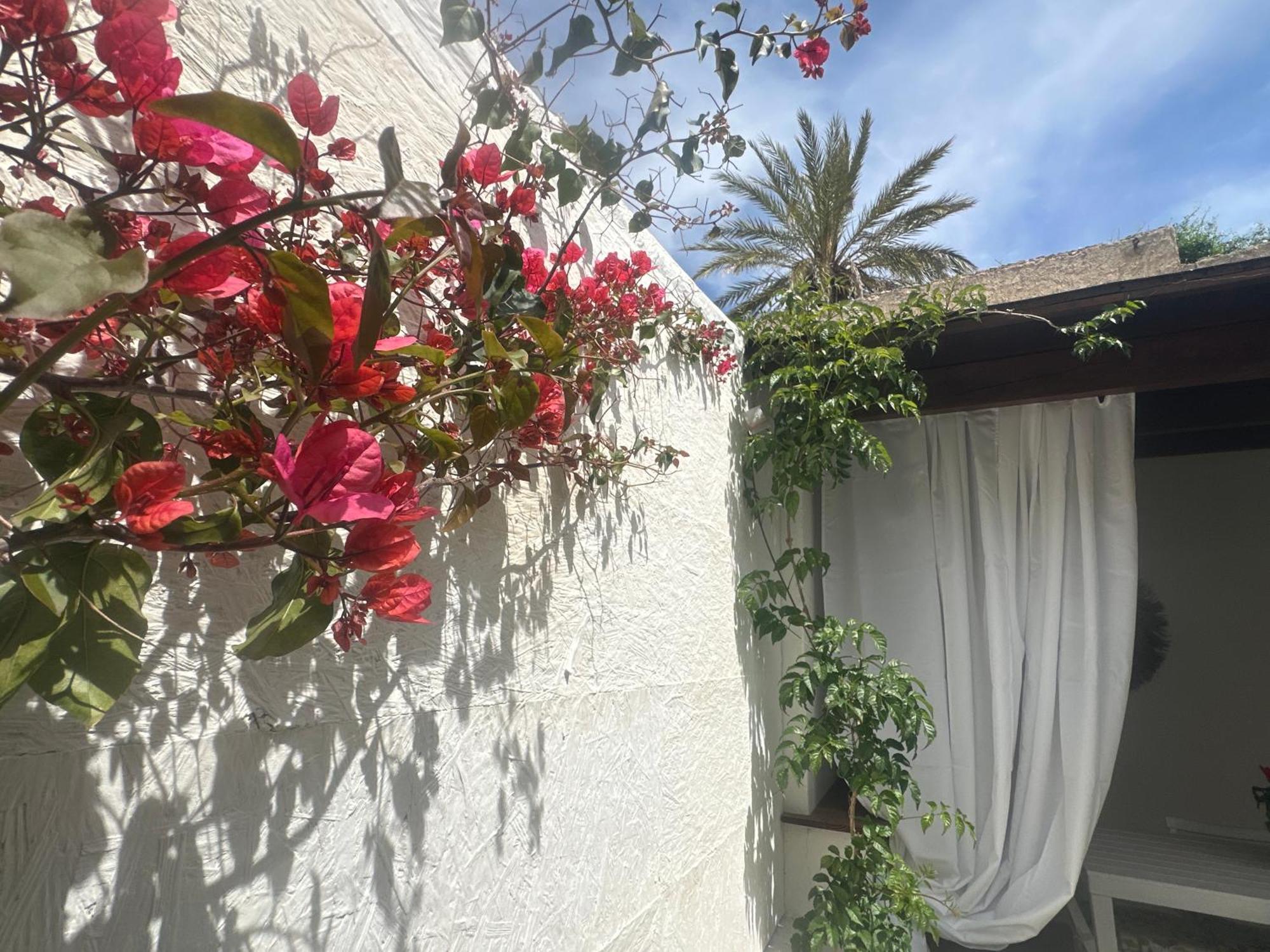 Maria House Con Giardino Privato