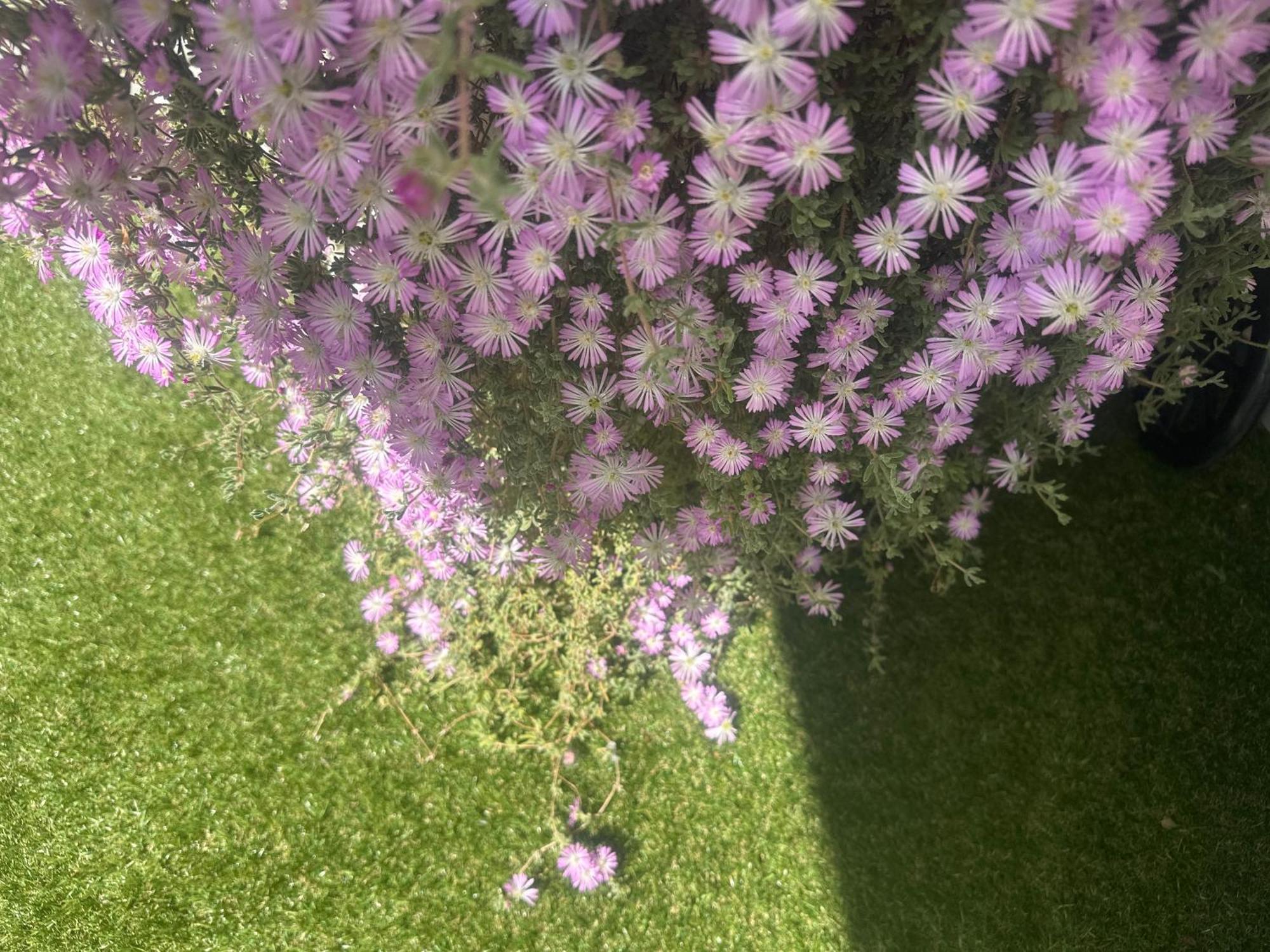 Maria House Con Giardino Privato
